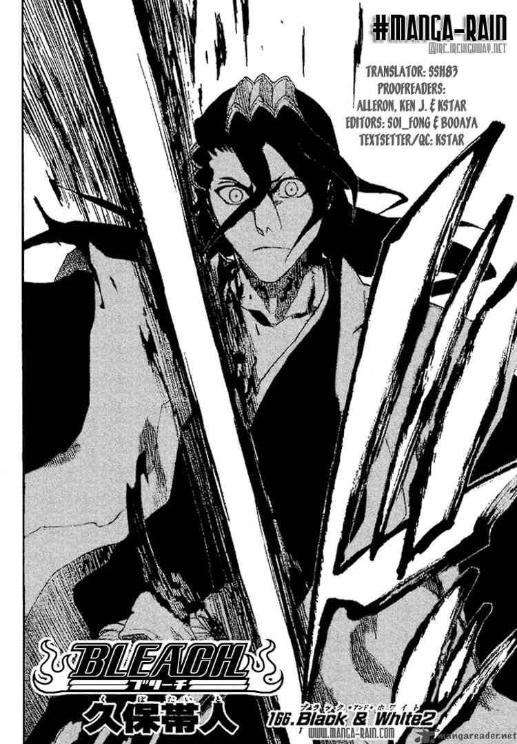 Bleach 166 2