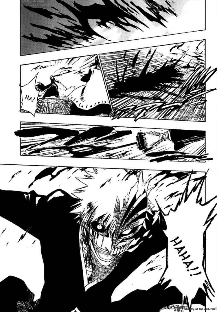 Bleach 166 3