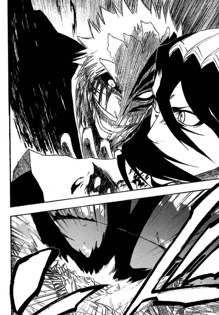 Bleach 166 8