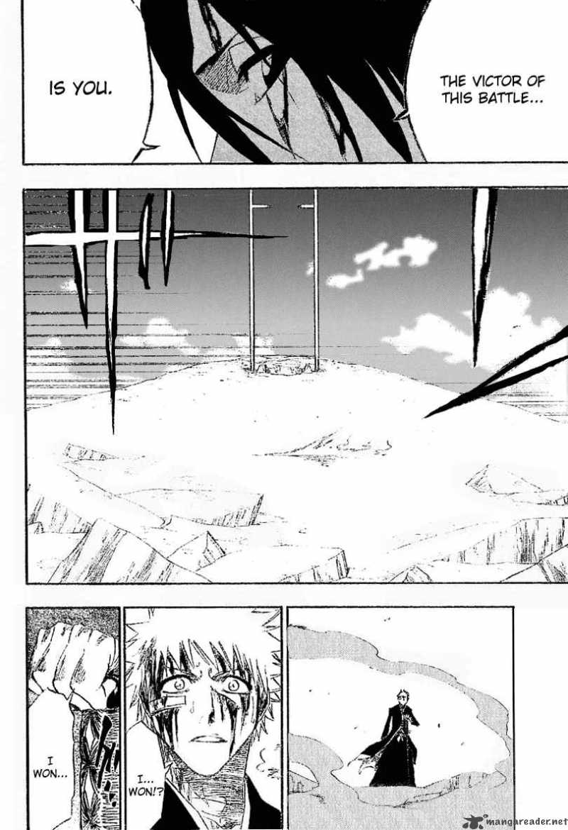 Bleach 167 14