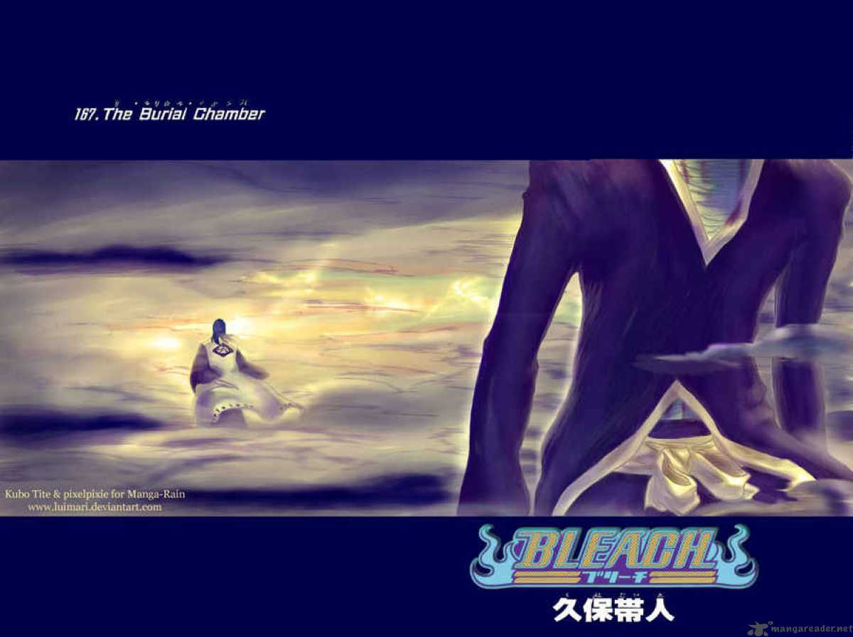 Bleach 167 3
