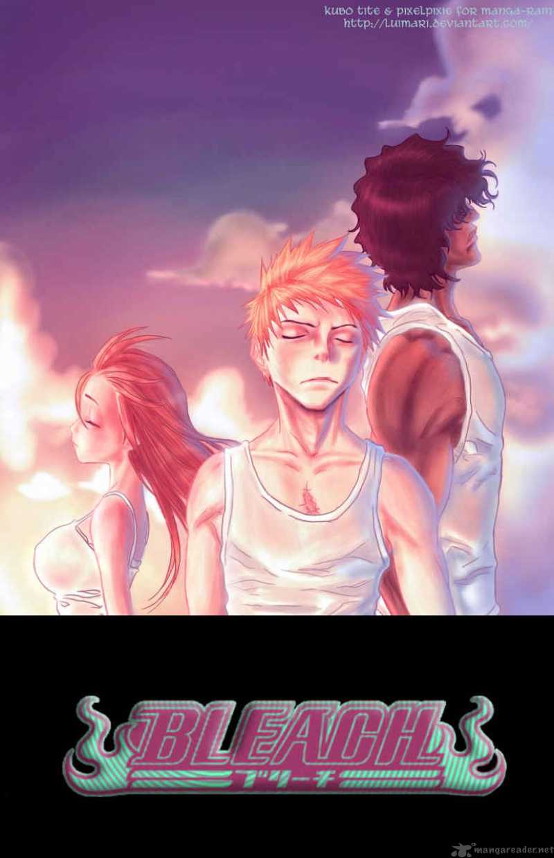Bleach 169 2