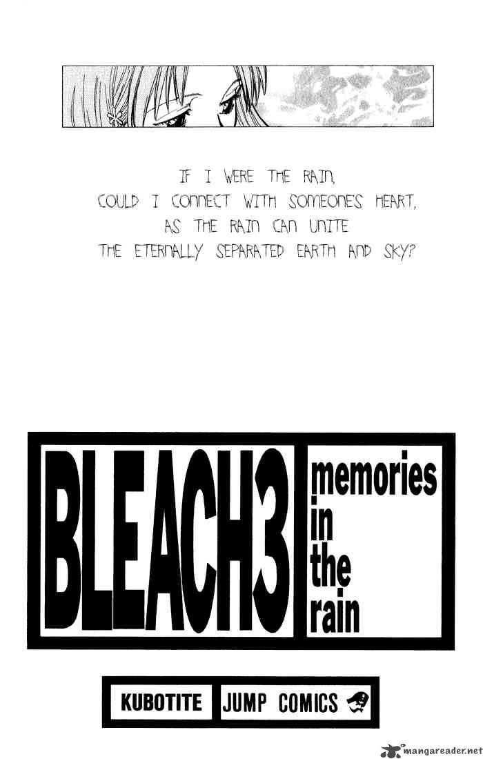 Bleach 17 1