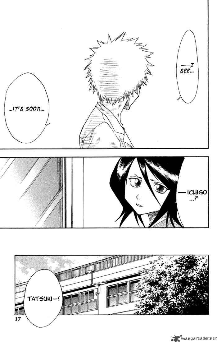 Bleach 17 12
