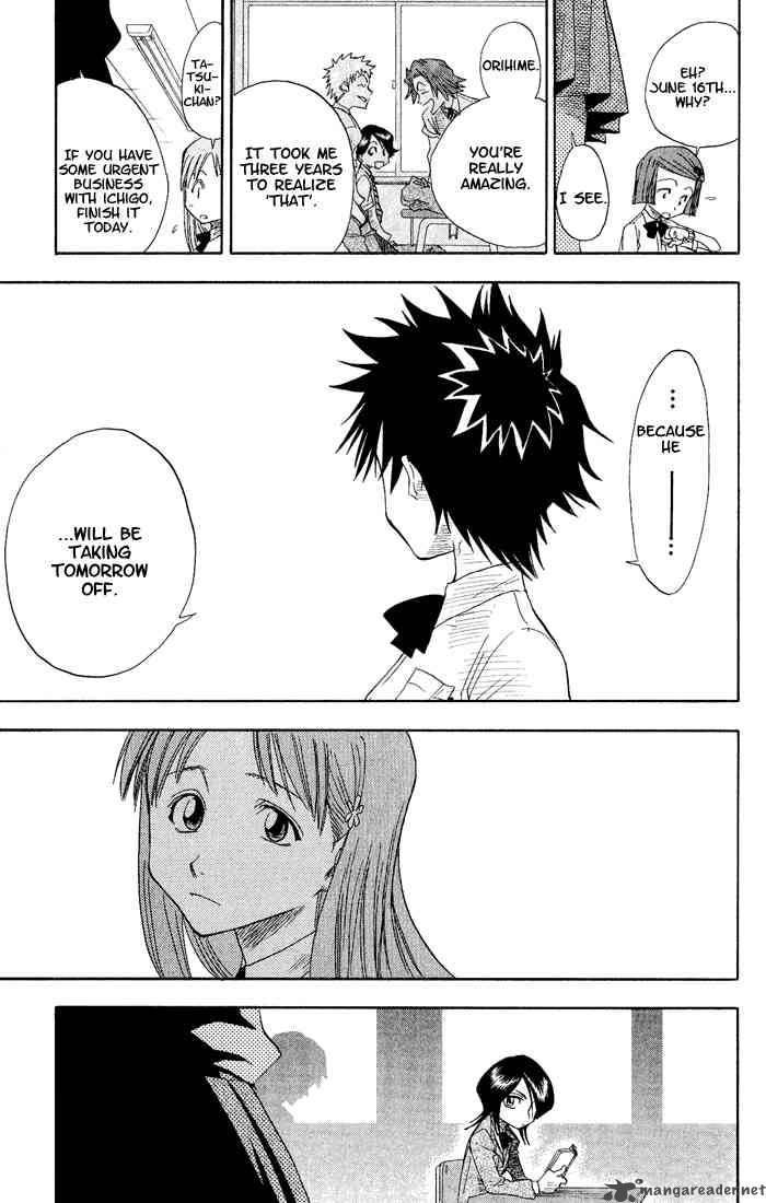 Bleach 17 16