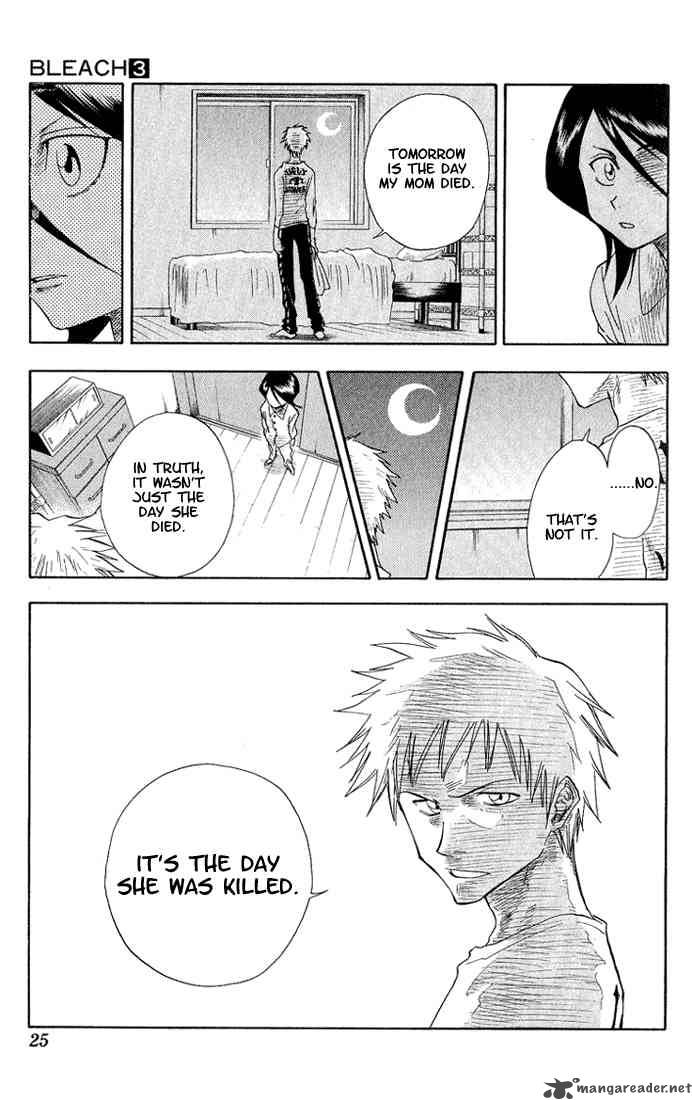Bleach 17 20