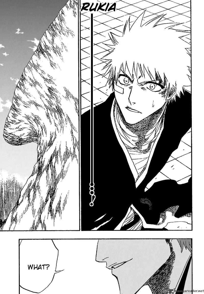 Bleach 172 18