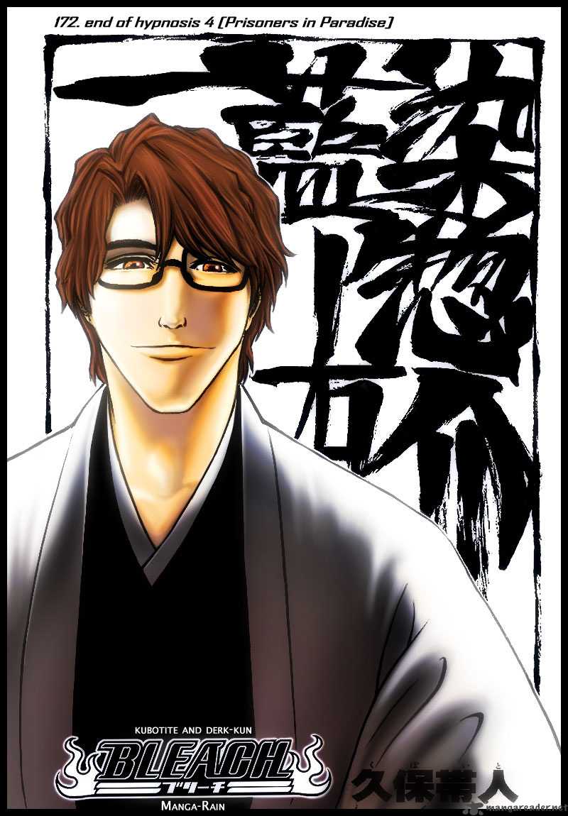 Bleach 172 4