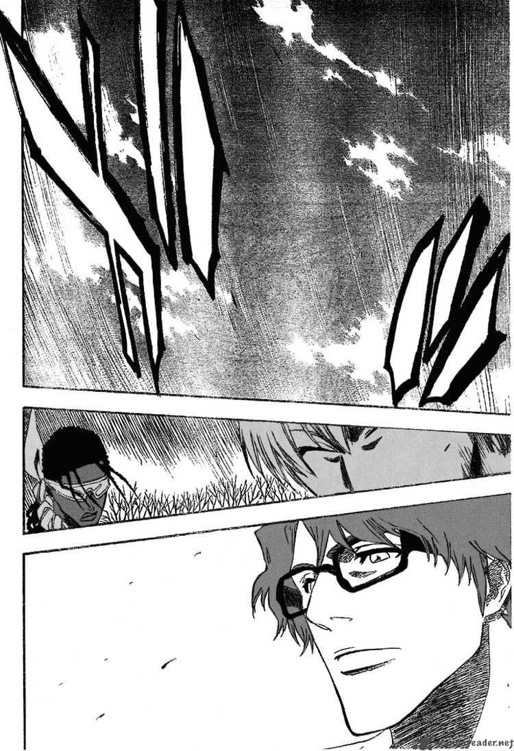 Bleach 173 16