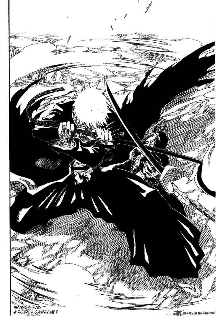 Bleach 173 18