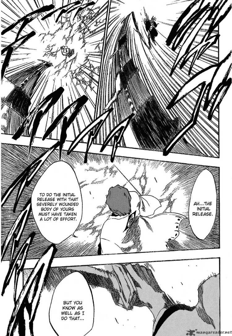 Bleach 173 9