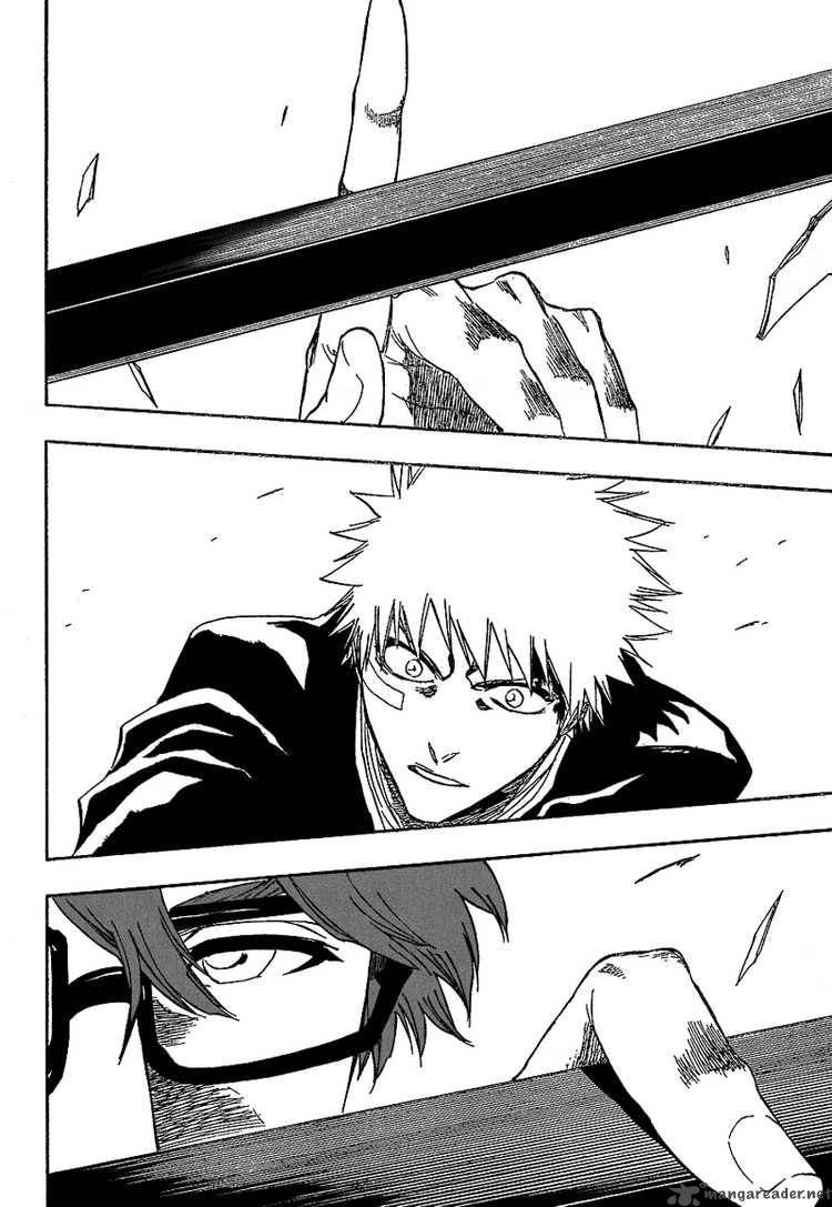 Bleach 174 14