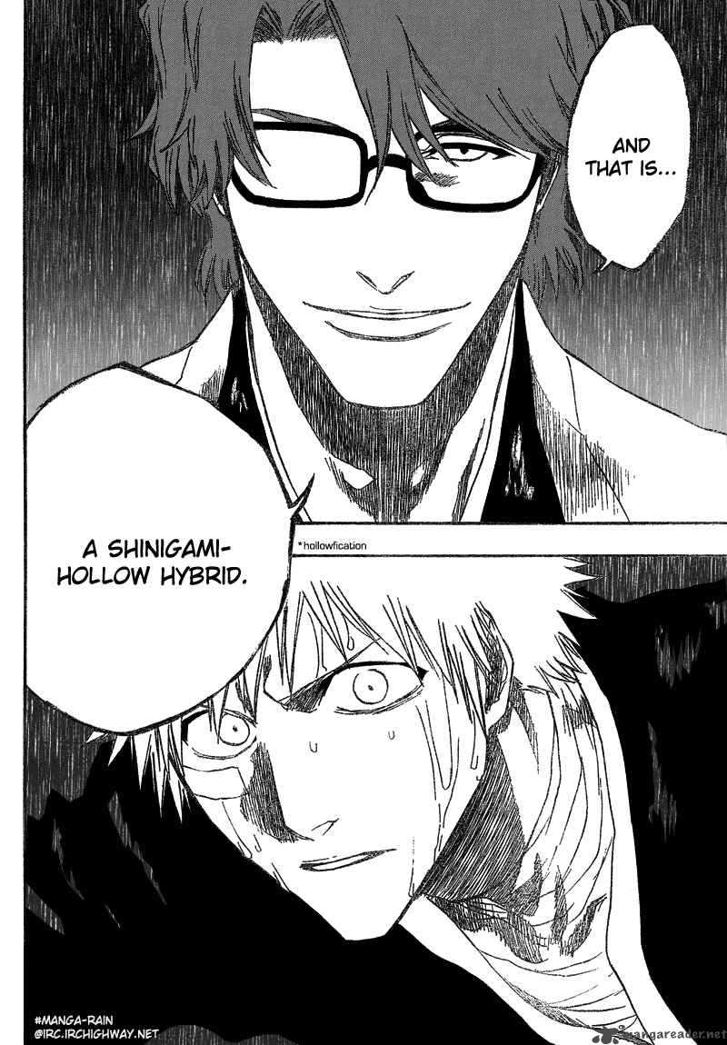 Bleach 175 13