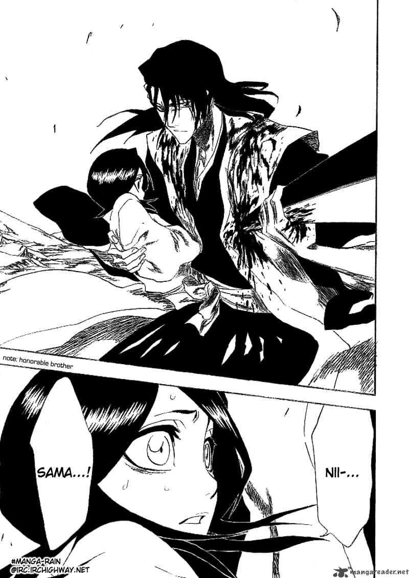 Bleach 176 29