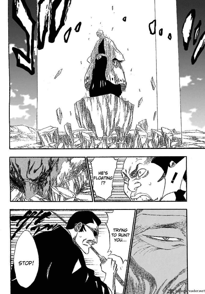 Bleach 178 12