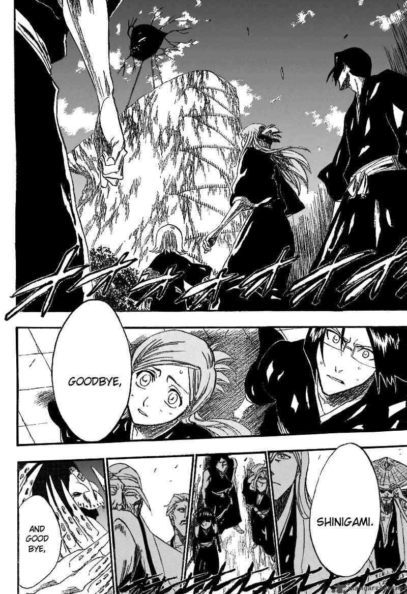 Bleach 178 19