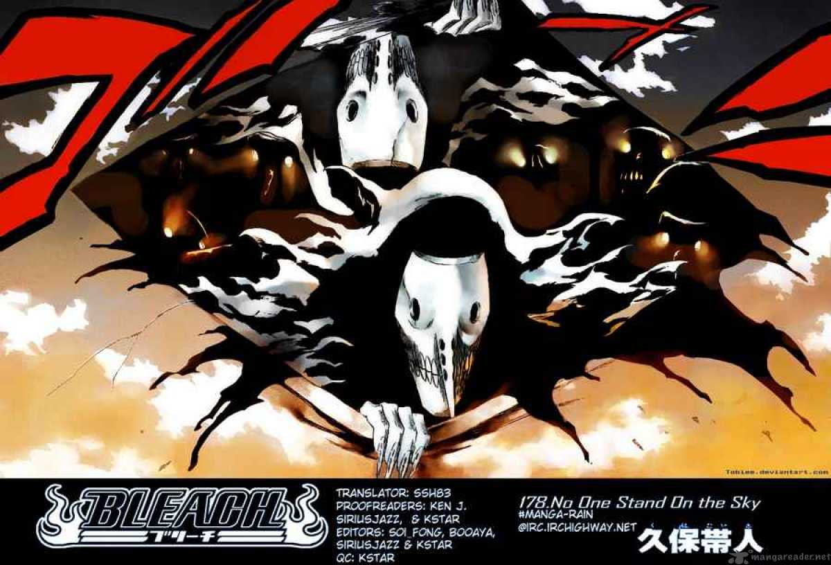 Bleach 178 6