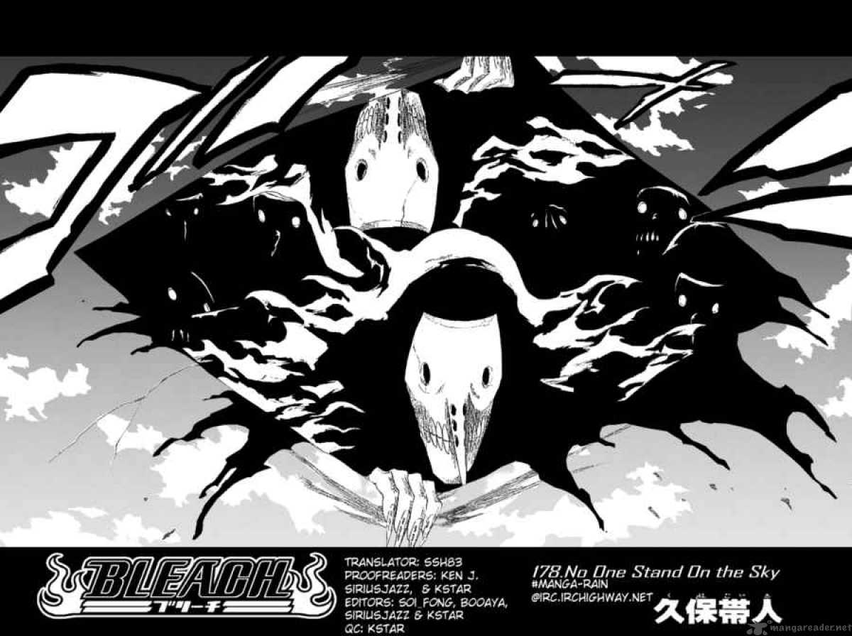 Bleach 178 7