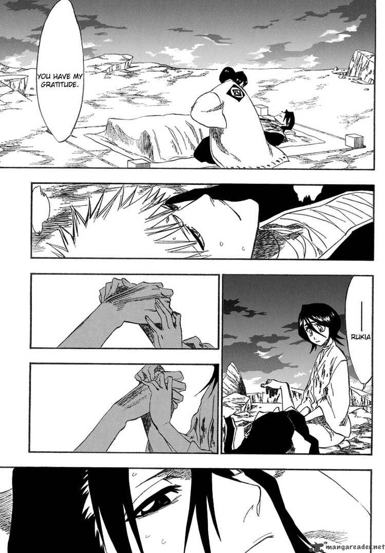 Bleach 179 16