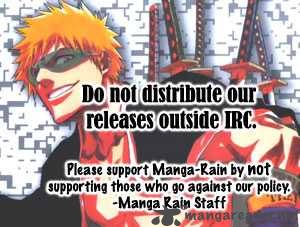 Bleach 179 21