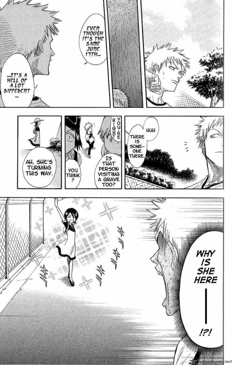 Bleach 18 8