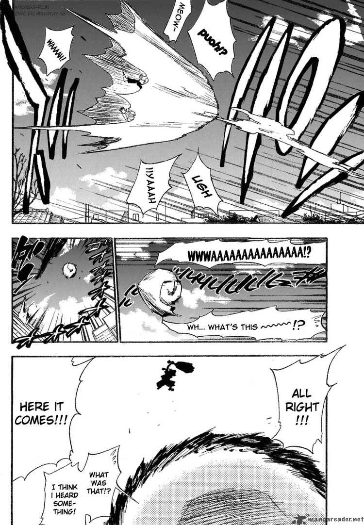 Bleach 182 5