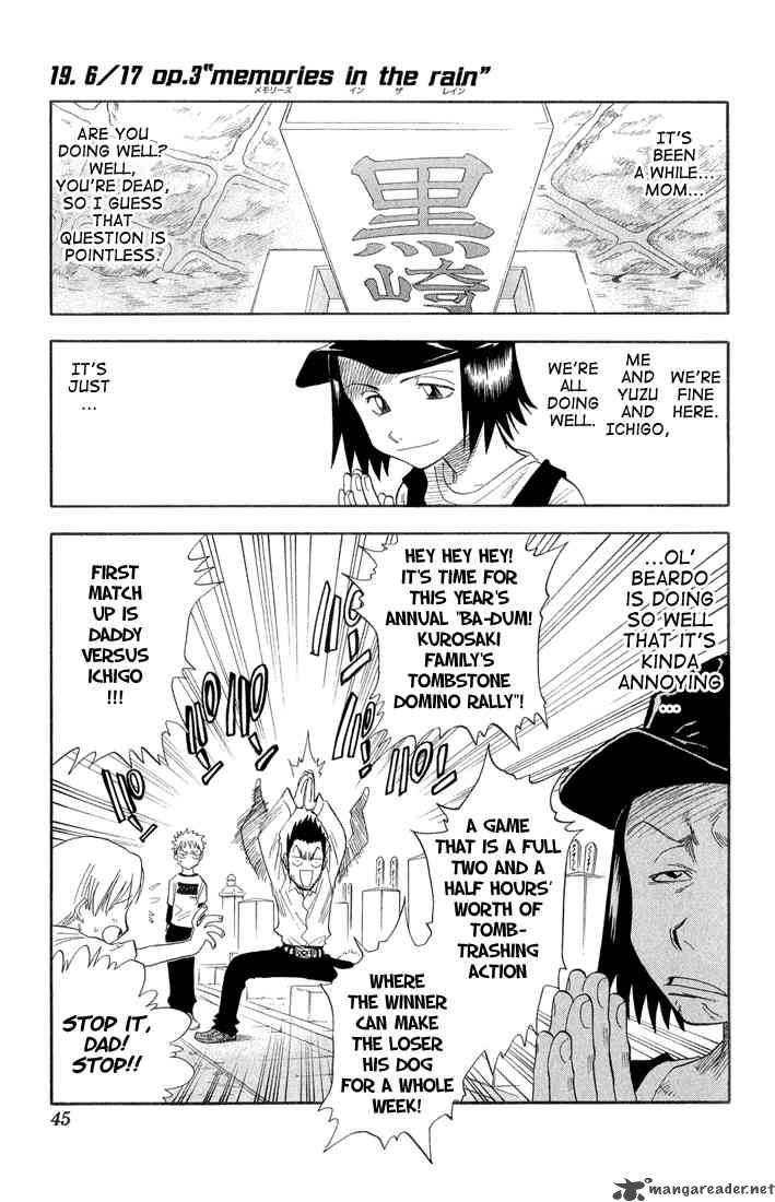 Bleach 19 1