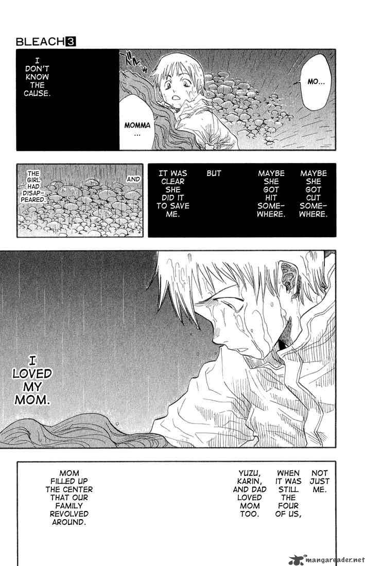 Bleach 19 15