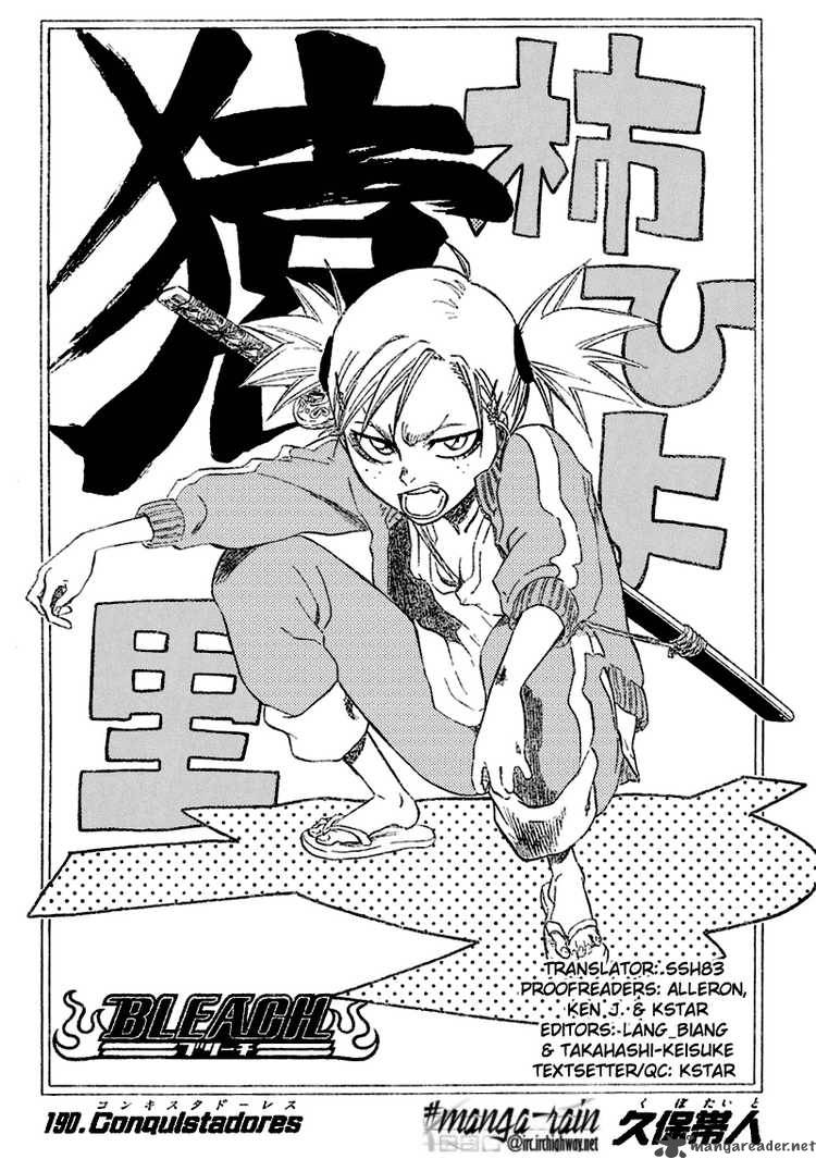 Bleach 190 6