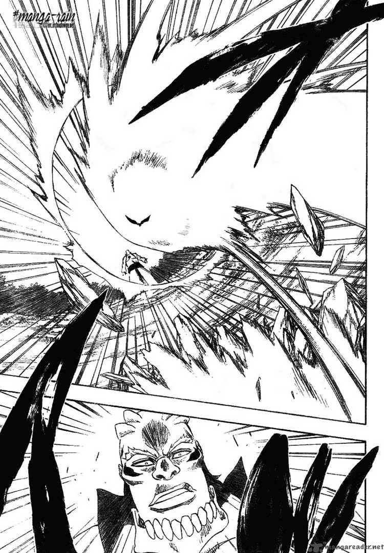 Bleach 192 13