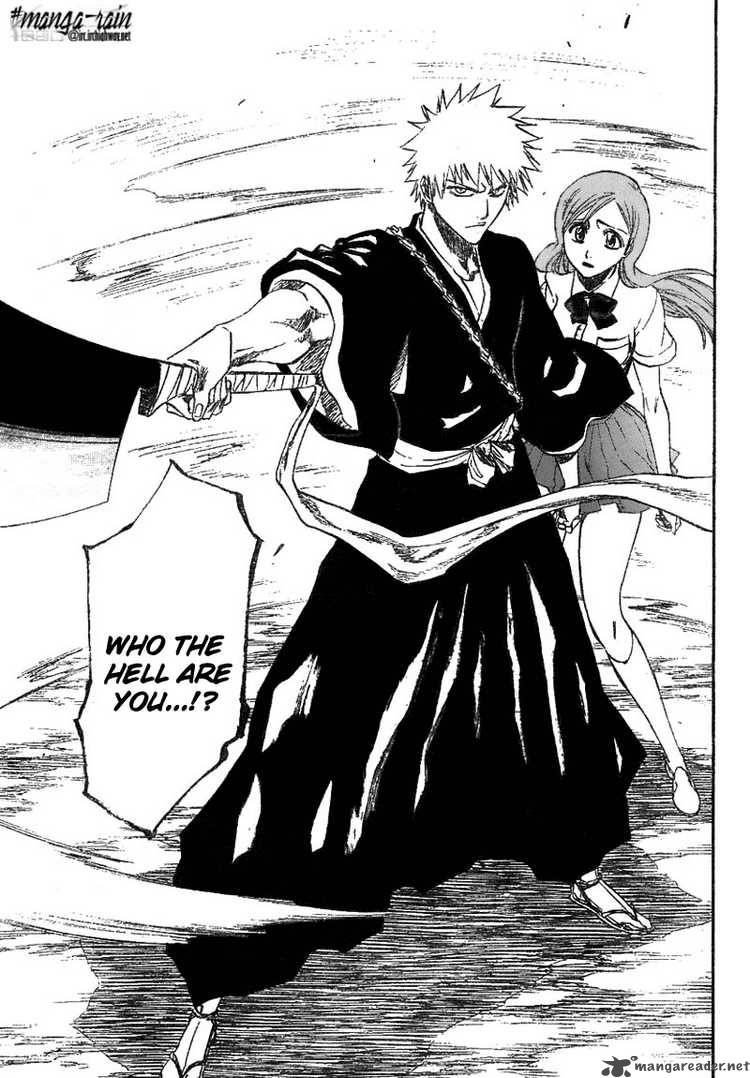 Bleach 192 17