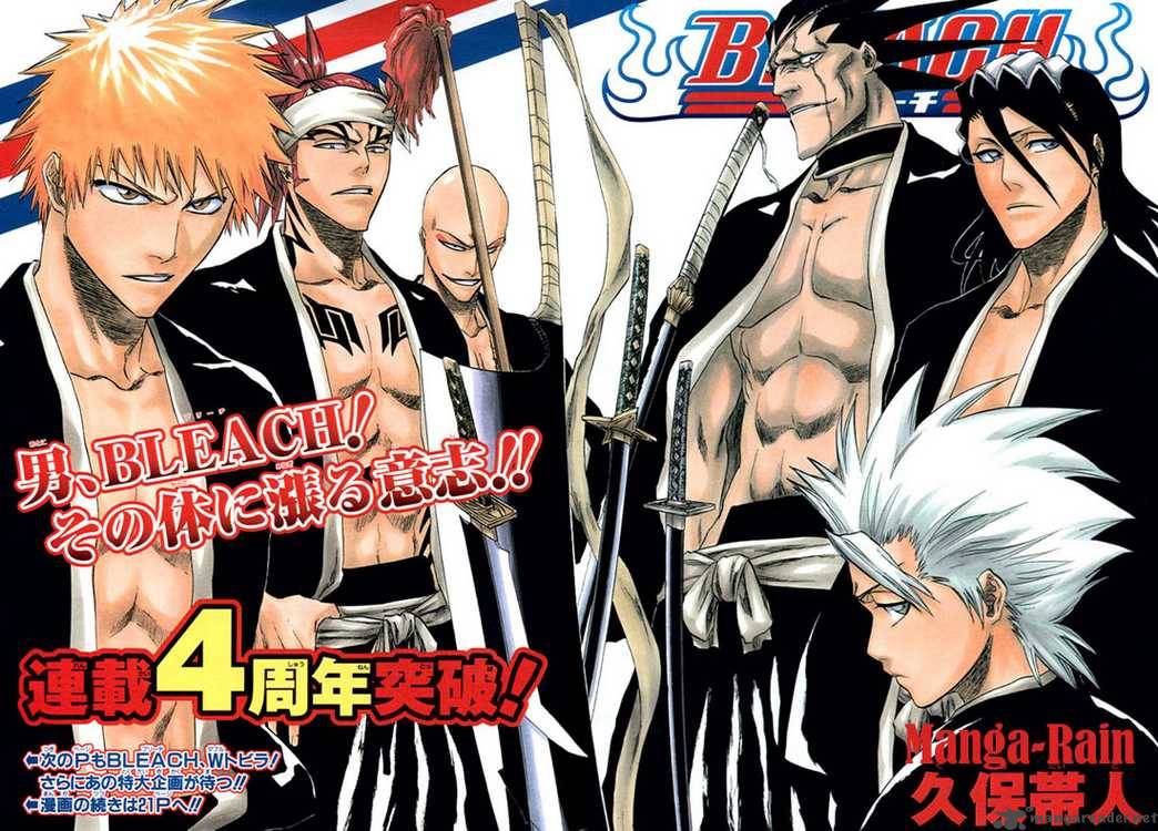 Bleach 193 1