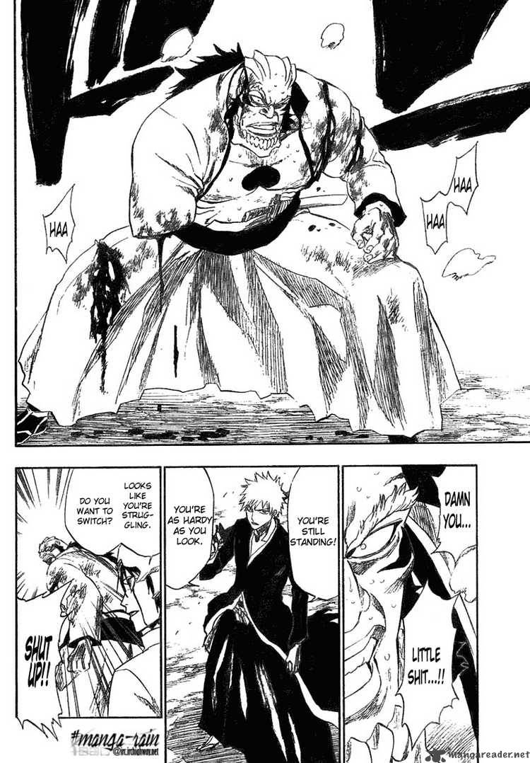 Bleach 193 13