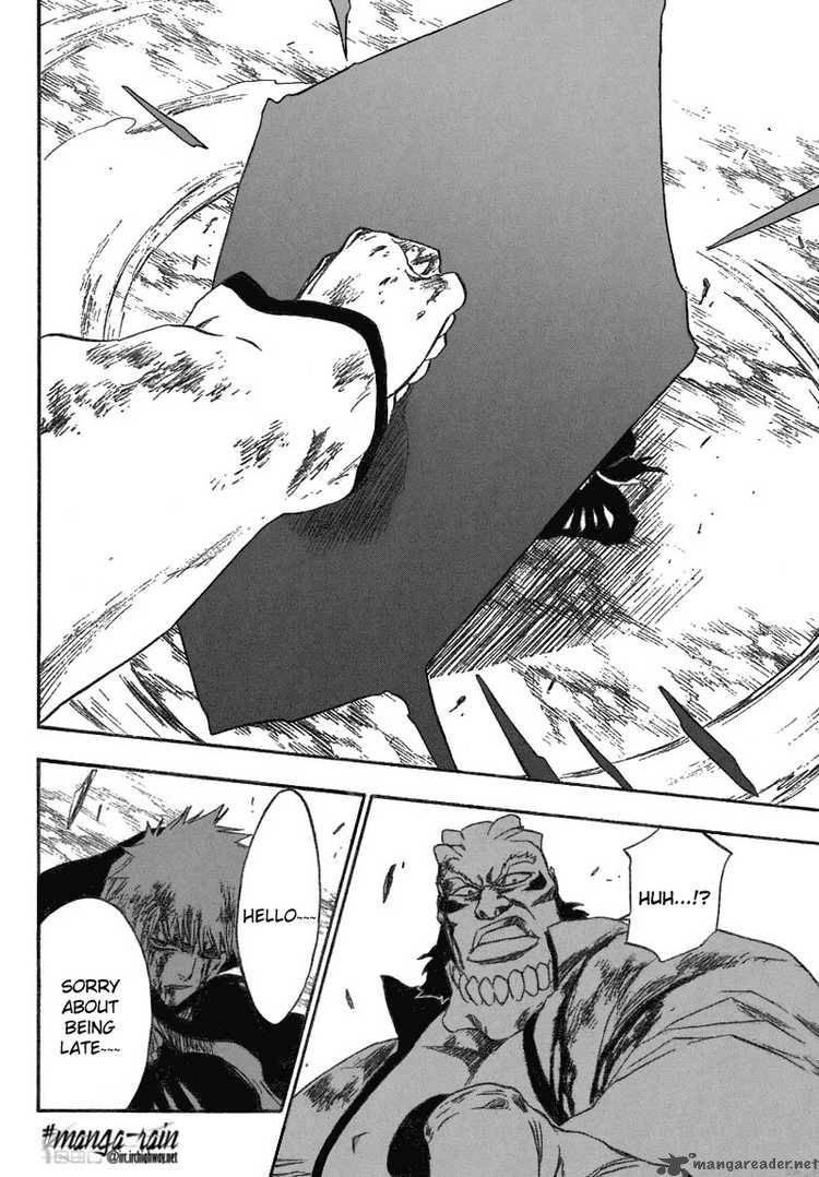 Bleach 193 19