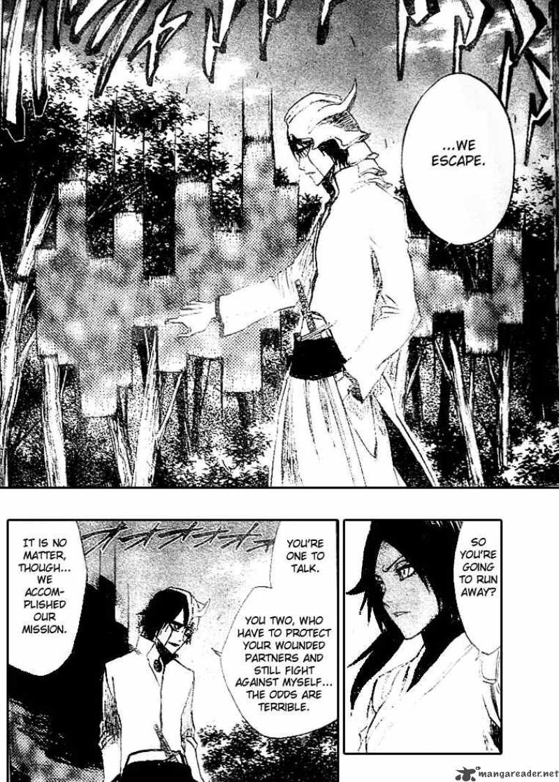 Bleach 194 17