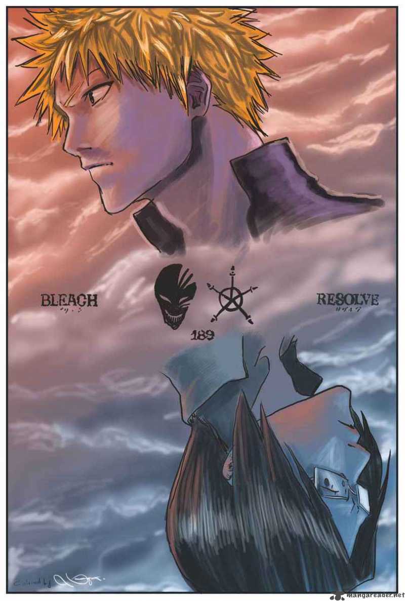 Bleach 194 21