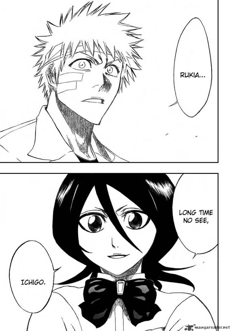 Bleach 195 17