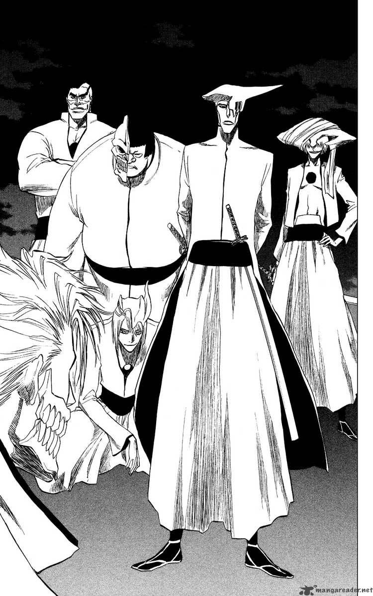 Bleach 199 15