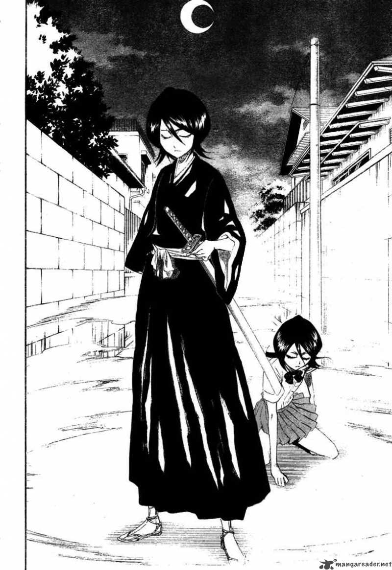 Bleach 201 13