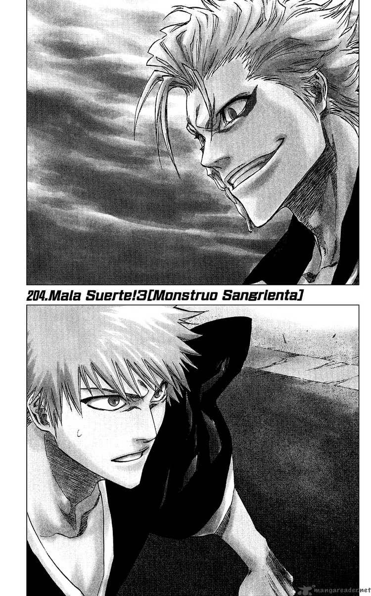 Bleach 204 1