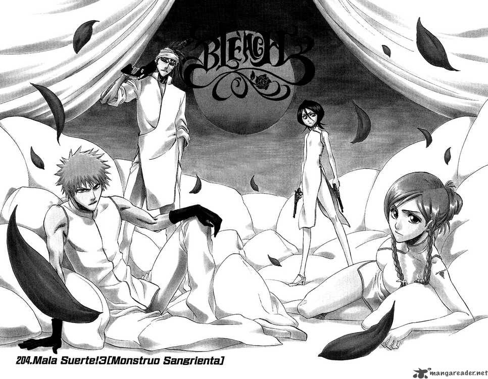 Bleach 204 2