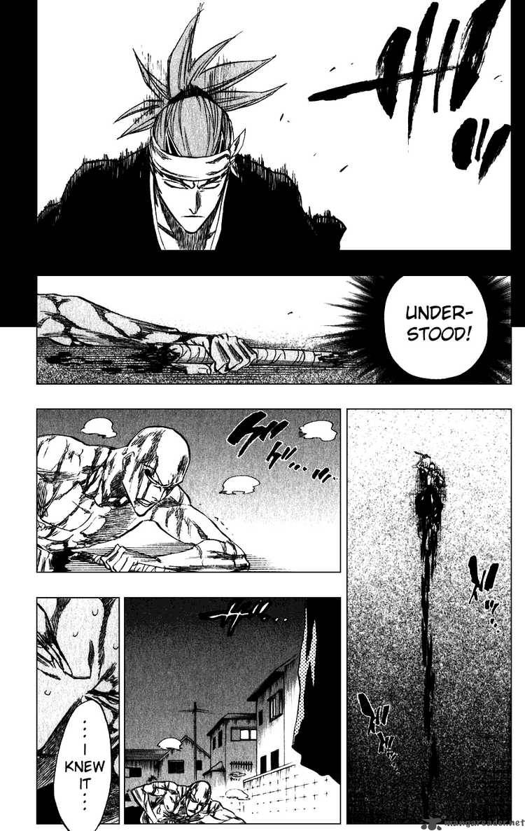 Bleach 206 19