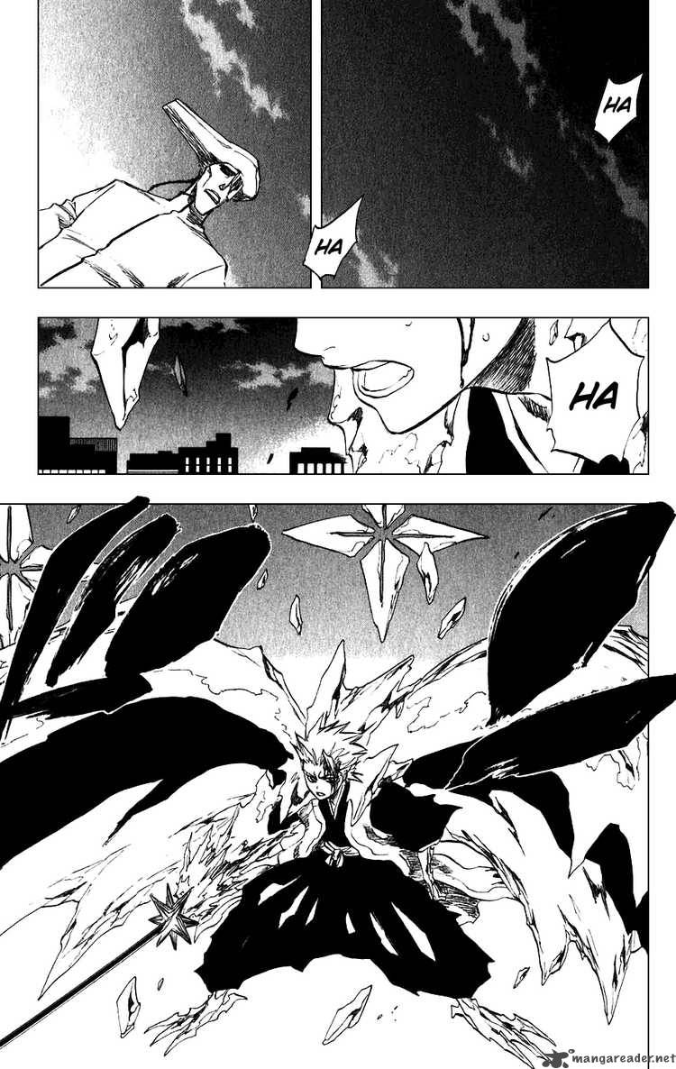 Bleach 206 23