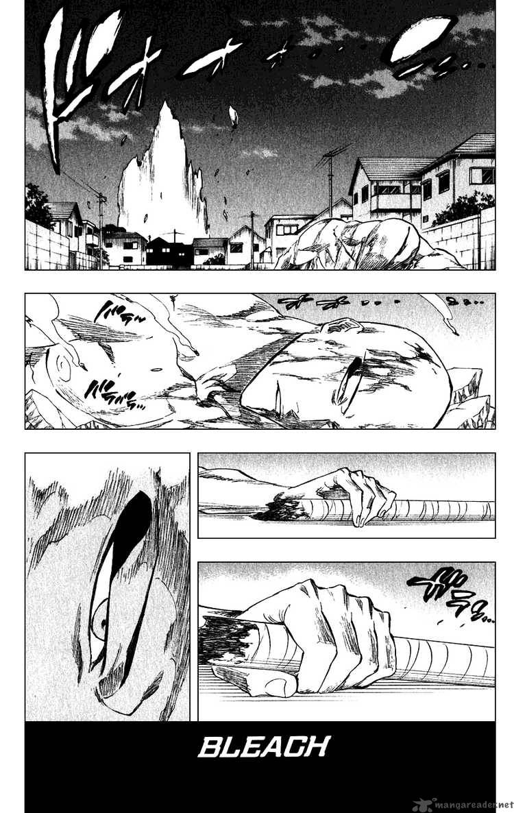 Bleach 206 9