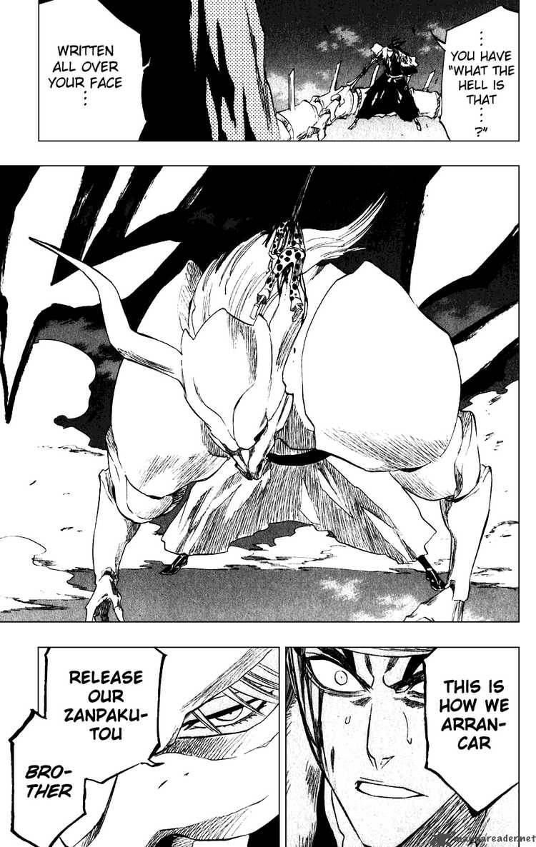 Bleach 207 19