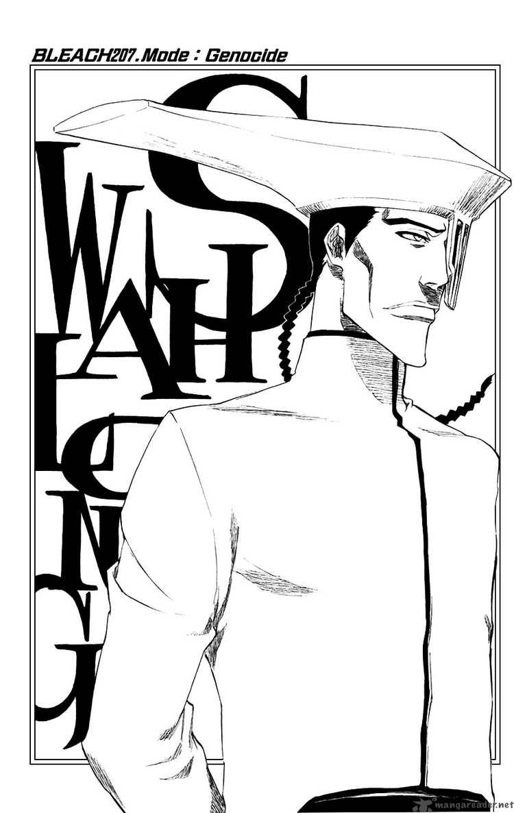 Bleach 207 5