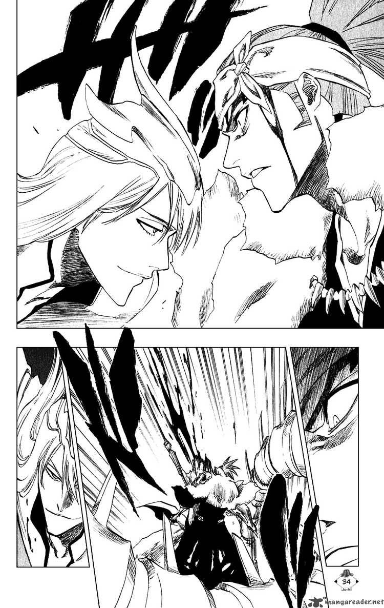 Bleach 207 8