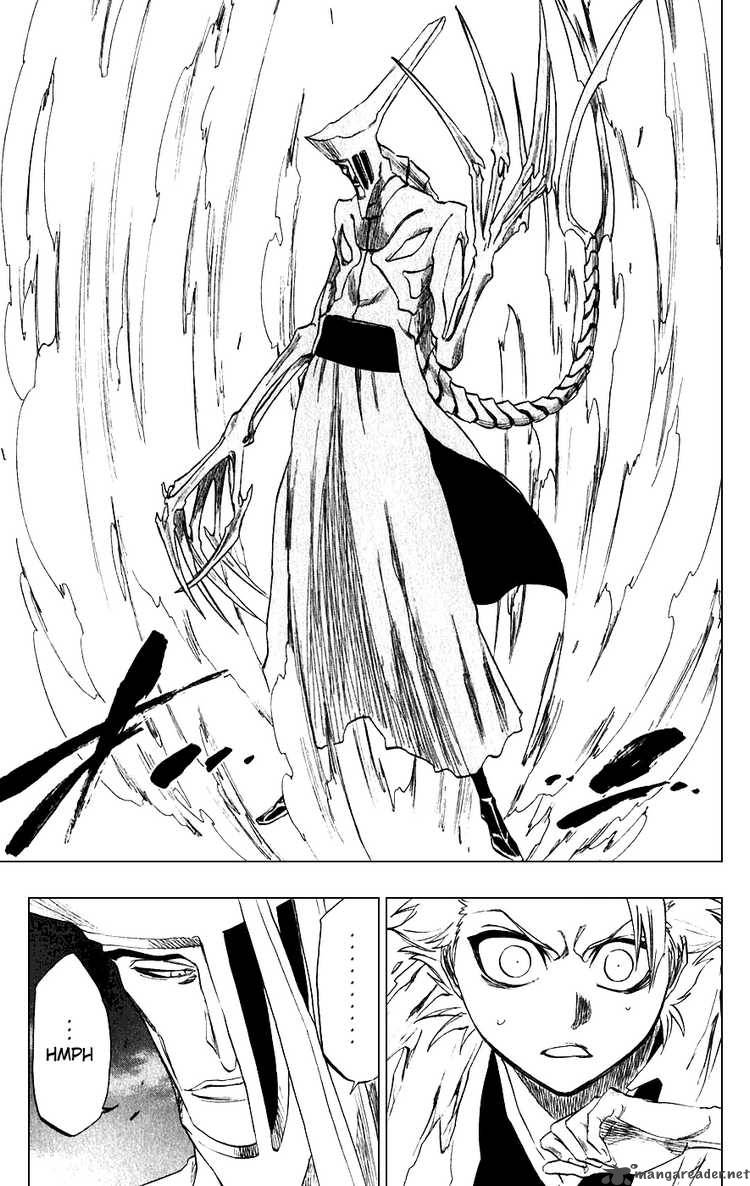 Bleach 208 17