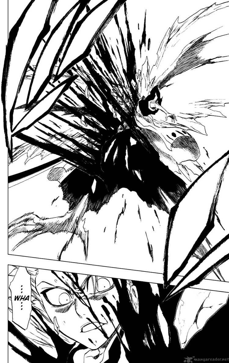Bleach 208 18