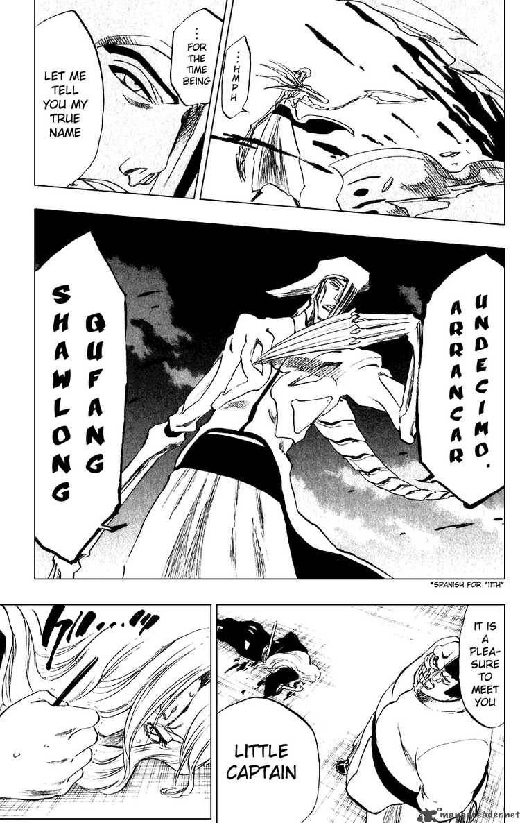 Bleach 208 19